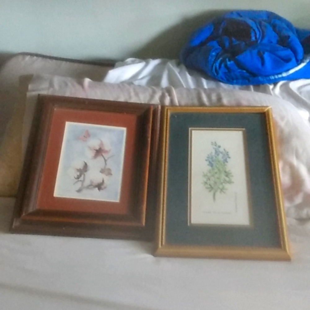 Pair of Flower paintings.